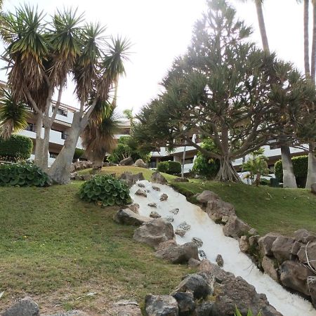 Appartement Estudio En Tenerife Con Piscina / Study Flat With Pool à San Miguel de Abona Extérieur photo
