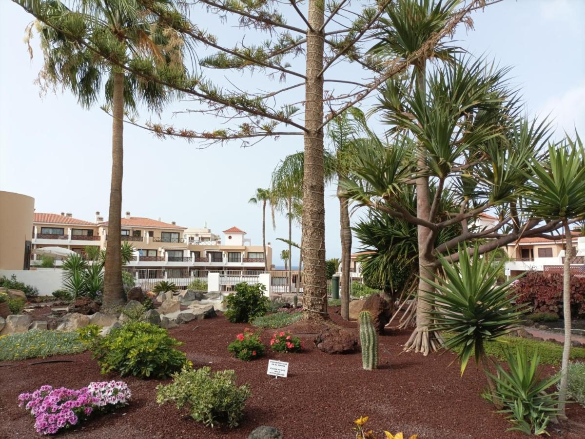 Appartement Estudio En Tenerife Con Piscina / Study Flat With Pool à San Miguel de Abona Extérieur photo